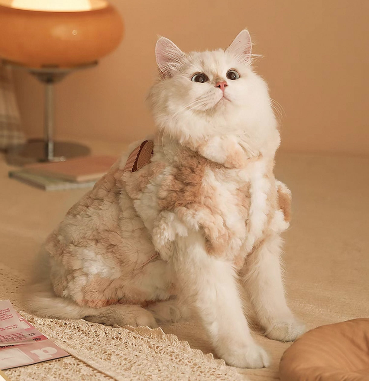 Cupcake Cuddle Coat