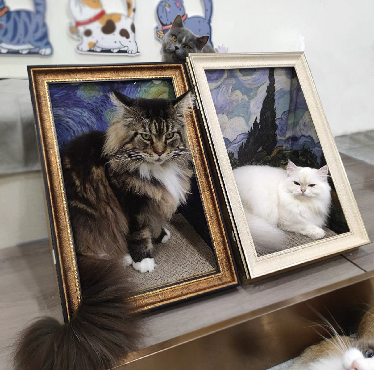 Pawtrait Gallery – Framed Cat Hideaway Art Series
