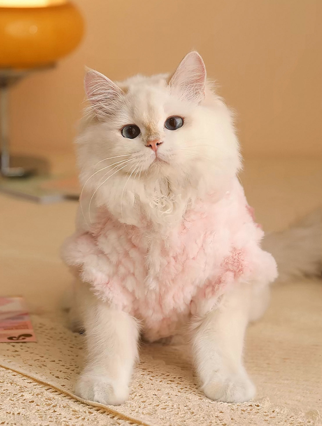 Cupcake Cuddle Coat