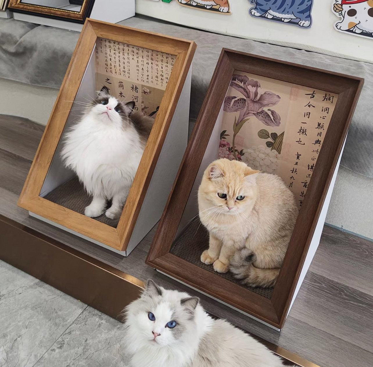 Pawtrait Gallery – Framed Cat Hideaway Art Series