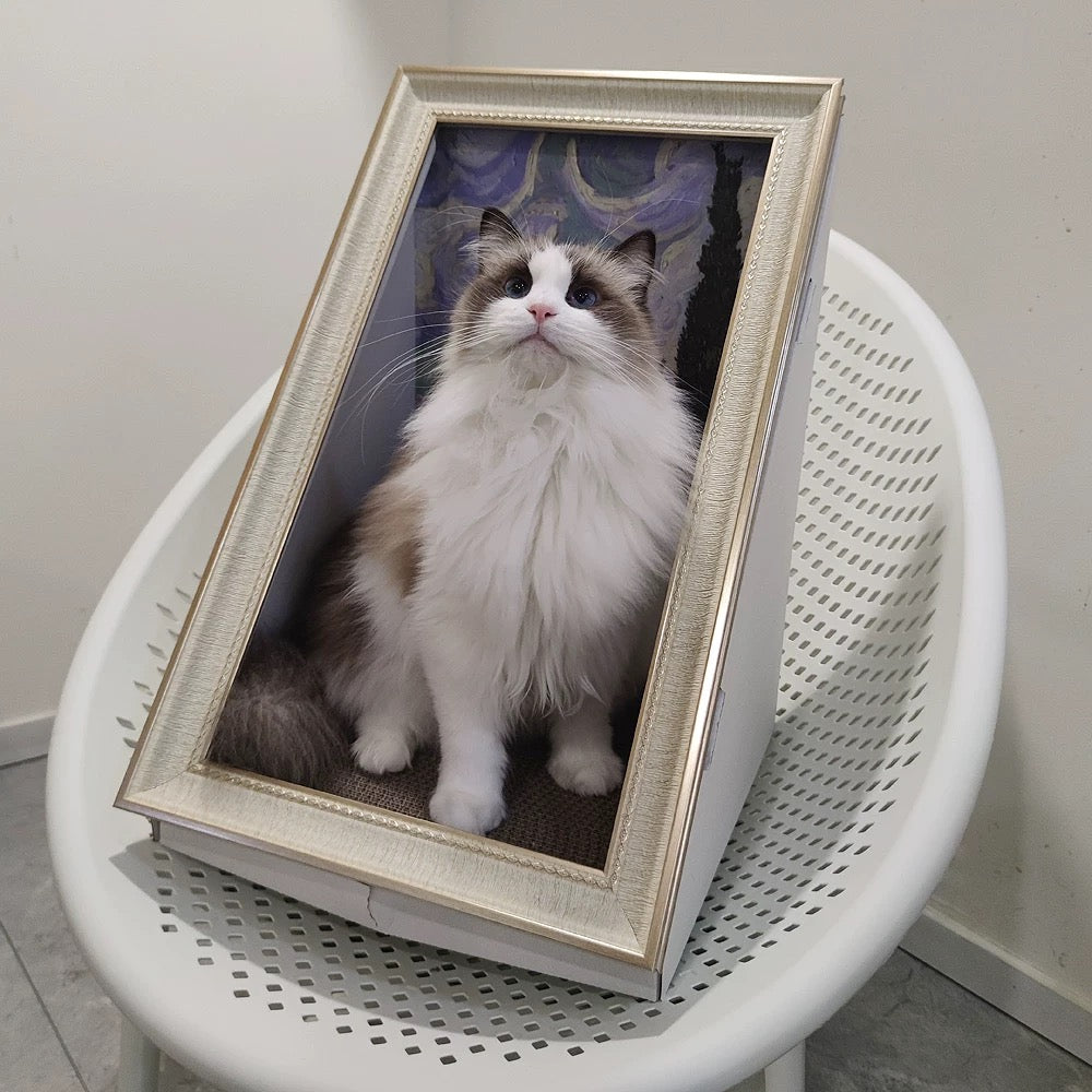 Pawtrait Gallery – Framed Cat Hideaway Art Series