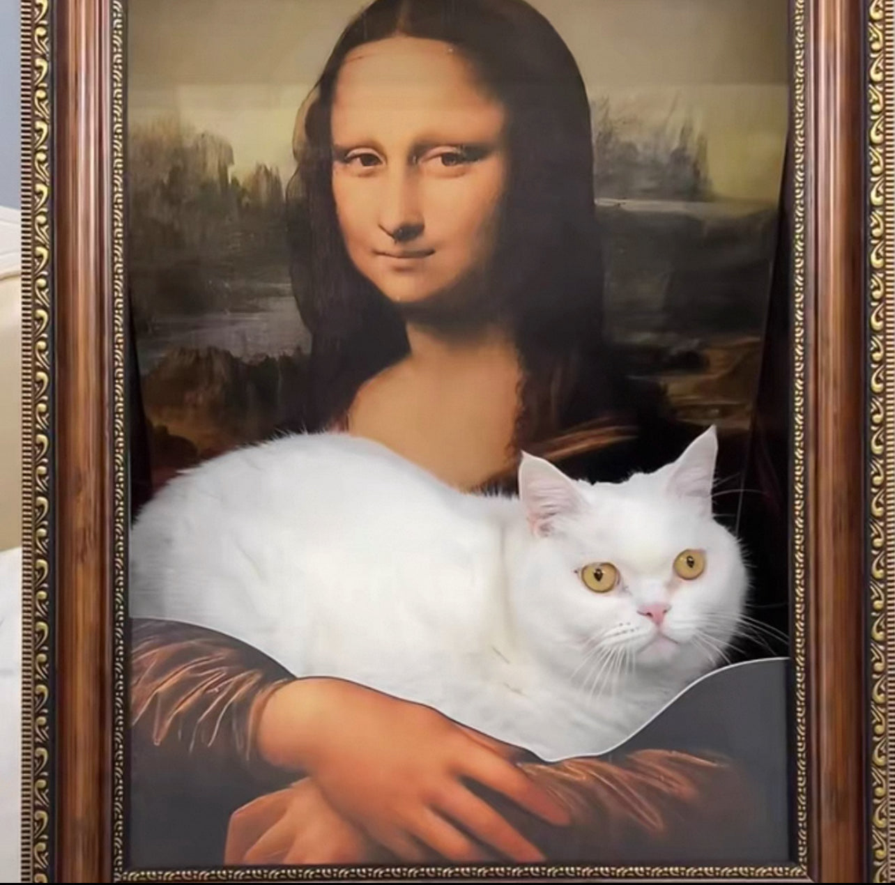 Pawtrait Gallery – Framed Cat Hideaway Art Series