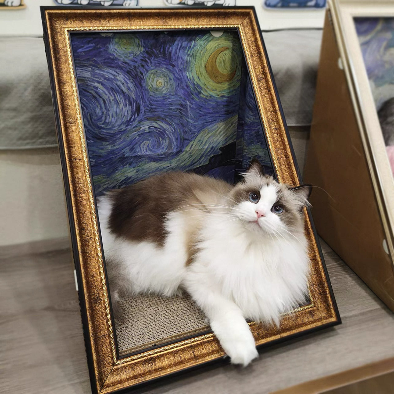 Pawtrait Gallery – Framed Cat Hideaway Art Series