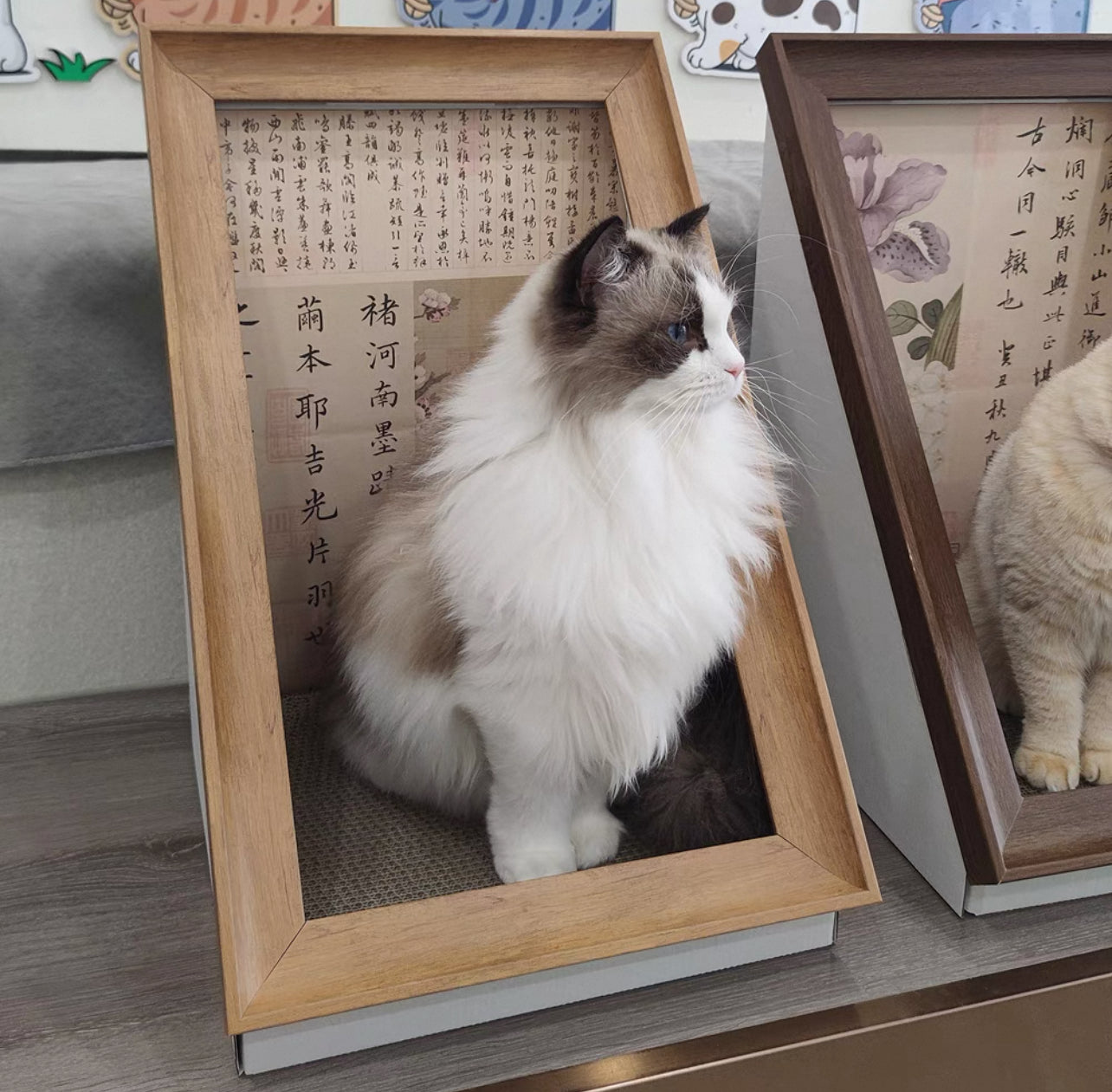 Pawtrait Gallery – Framed Cat Hideaway Art Series