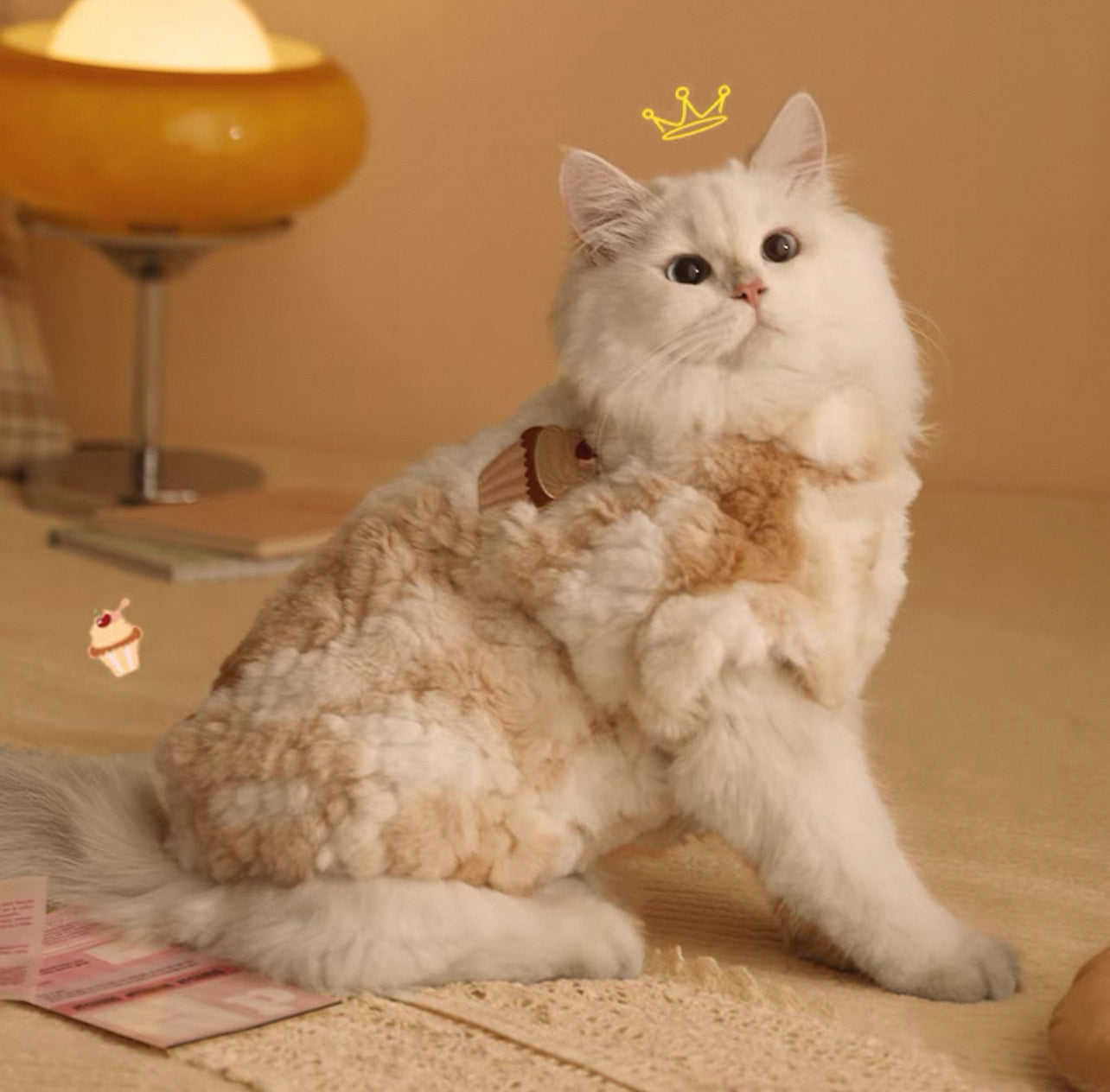 Cupcake Cuddle Coat