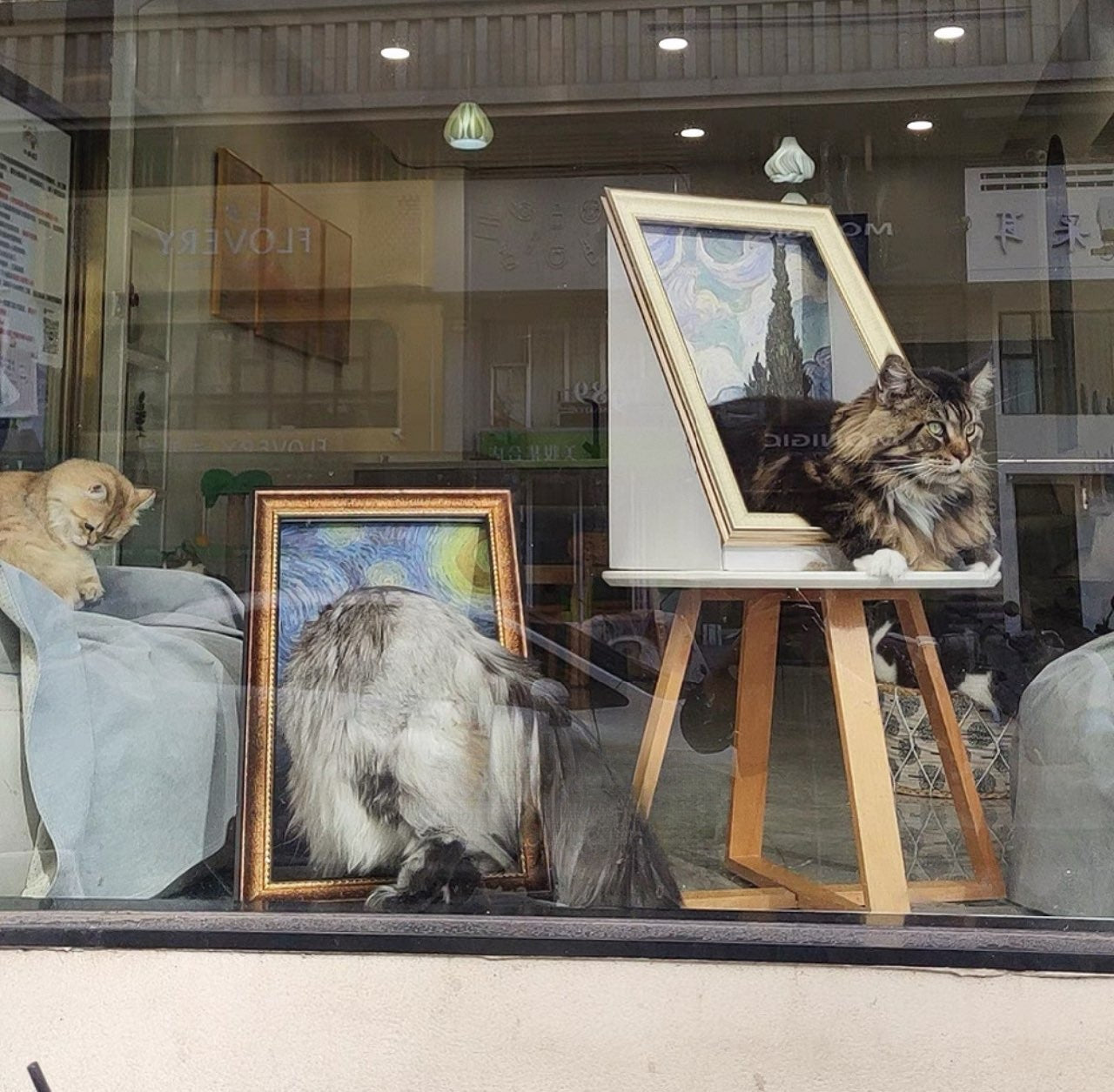 Pawtrait Gallery – Framed Cat Hideaway Art Series